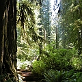 2007 07 03 089
